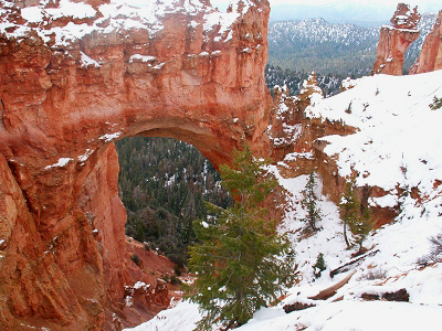 Natural Bridge im Bryce Canyon
Schlüsselwörter: Bryce Canyon, Natural Bridge