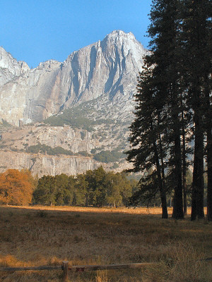 Yosemite Nationalpark
Zufahrt zum Yosemite Village am Morgen
Schlüsselwörter: Yosemite Village, Yosemite,