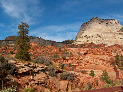 Auf der Fahrt durch die Ostseite des Parks
Schlüsselwörter: Zion NP