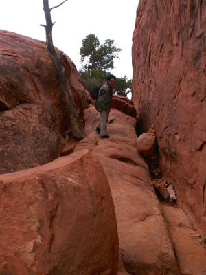 Devils Garden Trail
Schlüsselwörter: Devils Garden Trail, Arches Nationalpark