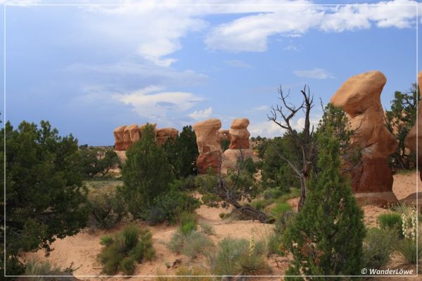 Devil's Garden
