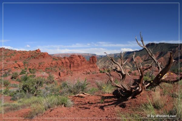 Trailend Fisher Towers
