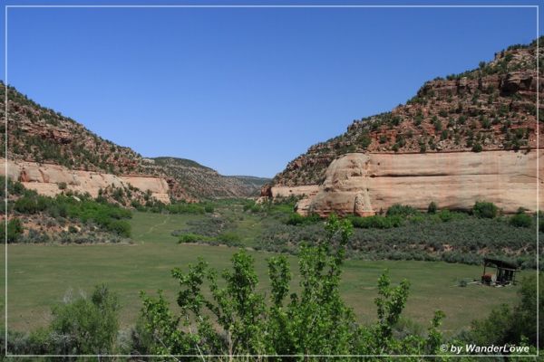 Montezuma Canyon Road 2
