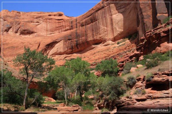 Coyote Gulch View
