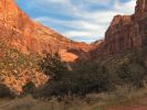 Arch im Zion NP