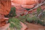Coyote Gulch