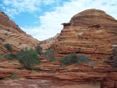 100_1664.JPG