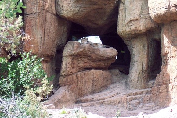 100_4122.JPG