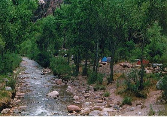 2000  9.jpg