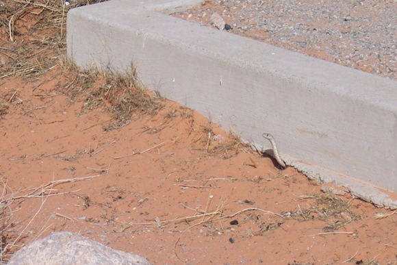 2007_107.jpg