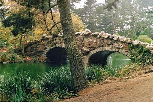 Golden Gate Park.jpg