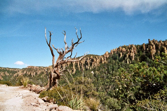 imm007_21.jpg
