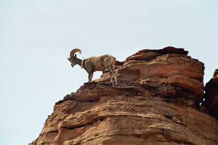 imm007_8.jpg