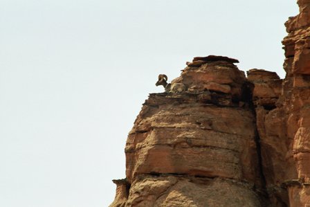 imm008_9.jpg
