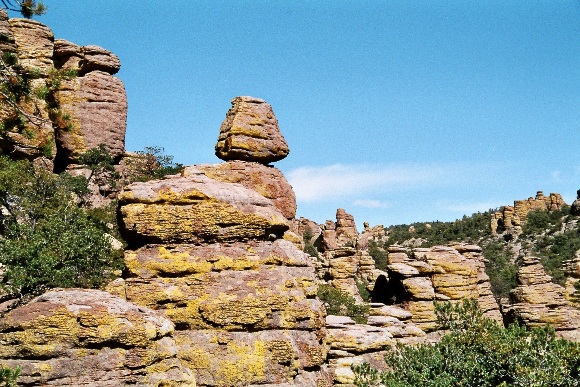 imm009_23.jpg