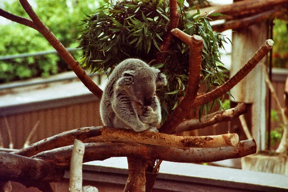 imm011_12~1.jpg