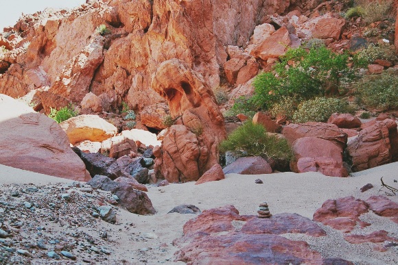 imm013_14A.jpg
