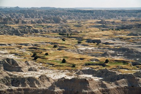 imm020_21.jpg