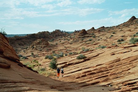 imm034_35.jpg