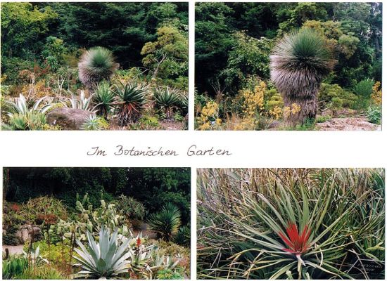 Golden Gate Park 2.jpg