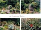 Golden Gate Park 2.jpg