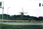 Golden Gate Park 3.jpg