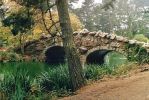 Golden Gate Park.jpg
