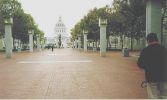 SF 04.jpg