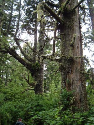 cape_lookout_sp.jpg