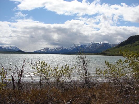 dezadeash_lake1.jpg
