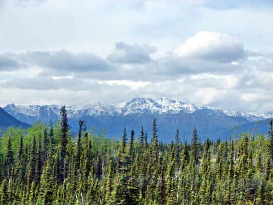 kluane_country_1.jpg