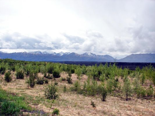kluane_country_3.jpg