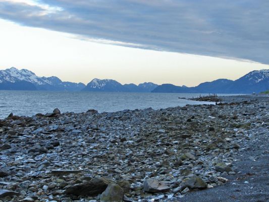 seward2.jpg
