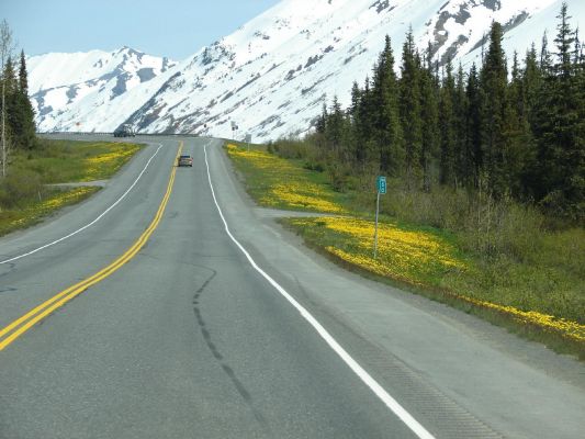 seward5.jpg