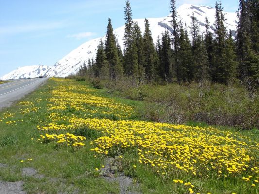 seward6.jpg