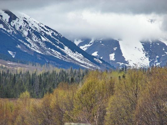 seward_highway2.jpg
