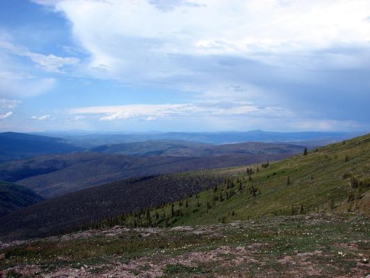topoftheworld3.jpg