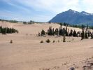 carcross_desert.jpg