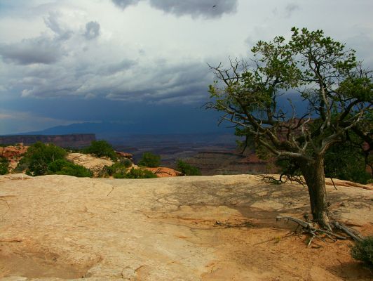 Abendgewitter über Canyonlands
