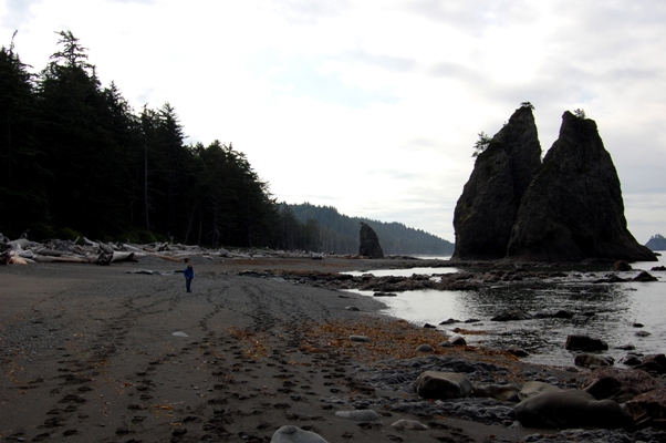 Split Rock Rialto Beach
