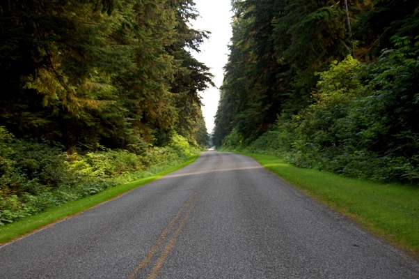 Strasse im Olympic NP
