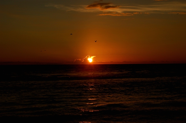 Sunset Manatee Beach, Anna Maria Island
