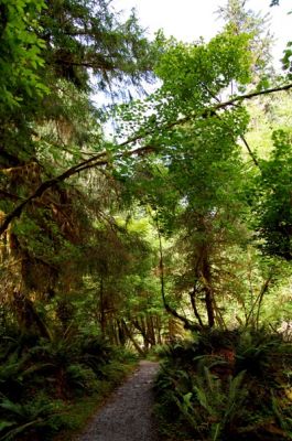 Spruce Nature Trail
