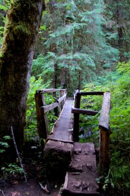 Brücke zu den Marymere Falls
