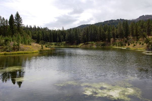 Beaver Lake
