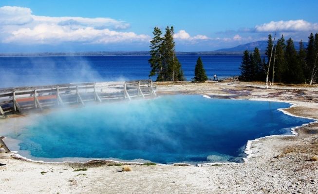 Black Pool
