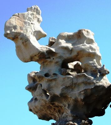 Camel, Fantasy Canyon
