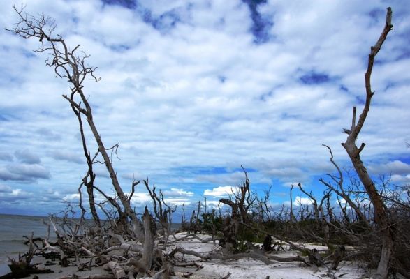 Cayo Costa
