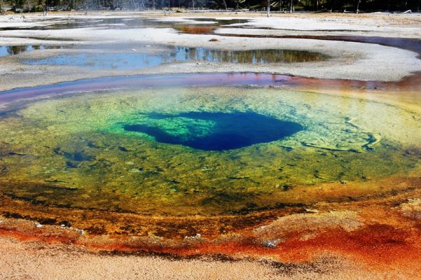 Chromatic Pool
