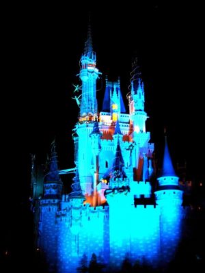 Cinderella Castle by night
